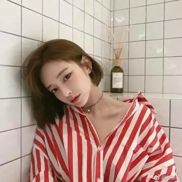 他们/她们